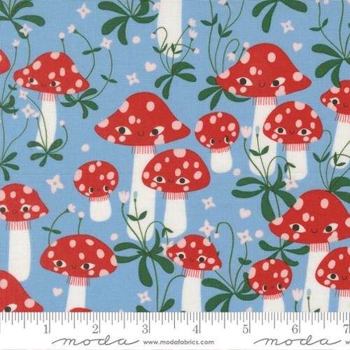 Funny Valentine - Mushrooms