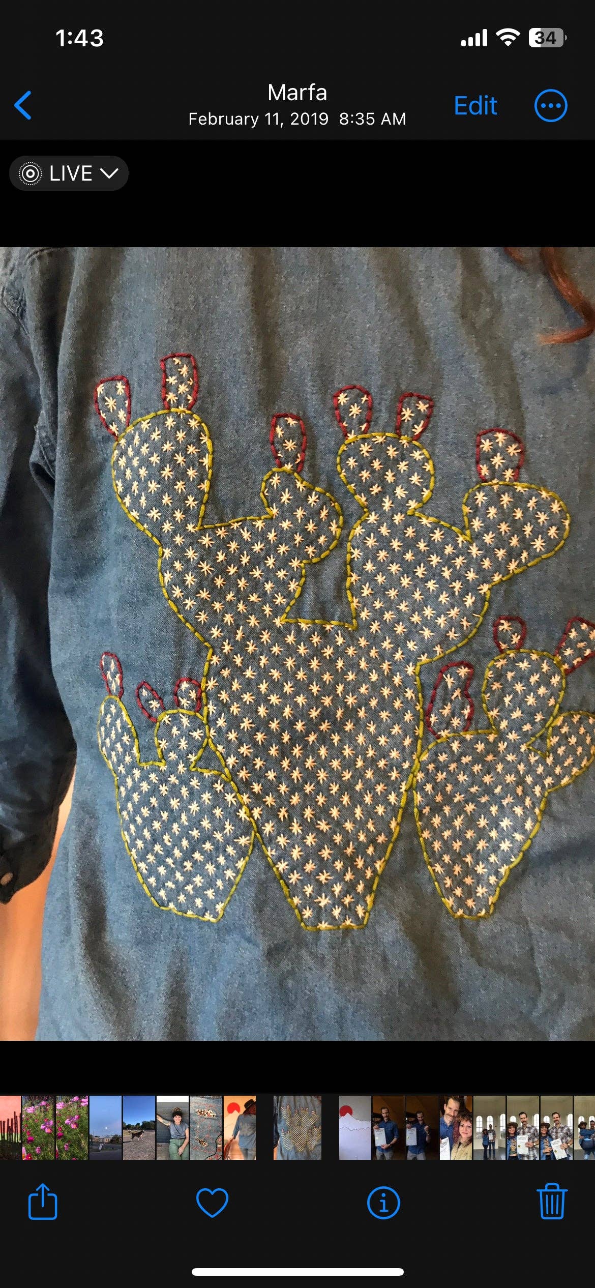 Sashiko Prickly Pear Mending Stick and Stitch Pattern: Small