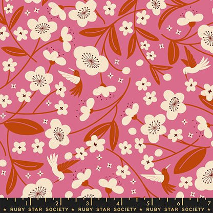 Persimmon - Ruby Star Society