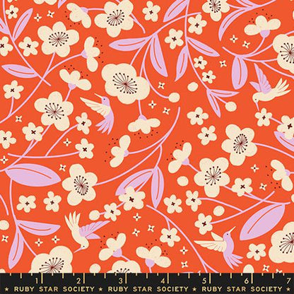 Persimmon - Ruby Star Society