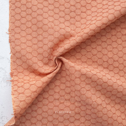 Forest Forage - Honeycomb